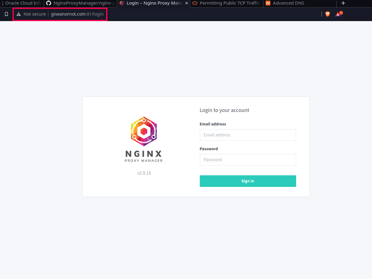 Successfully visit host with domain screenshot